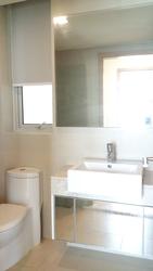 Tribeca (D9), Condominium #148581292